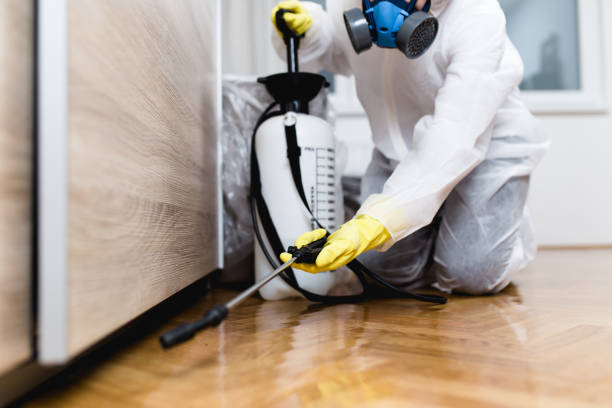 Professional Pest Control in Sellersville, PA