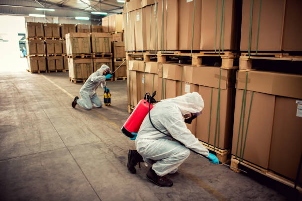 Best Affordable Pest Control Services  in Sellersville, PA