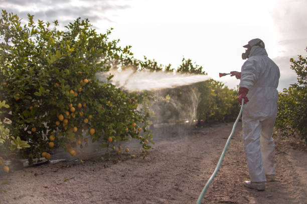 Best Pest Prevention Services  in Sellersville, PA