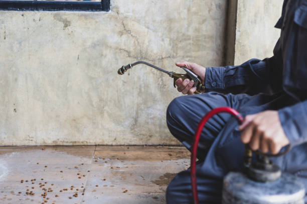 Best Best Pest Control Companies  in Sellersville, PA
